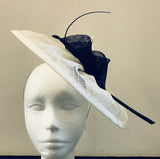 Split disc with lilies and spine and other features