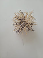 How to make a Dandelion using Biot feathers with step by step videos that you can keep for life