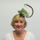 Rose fascinator with pheasant feather